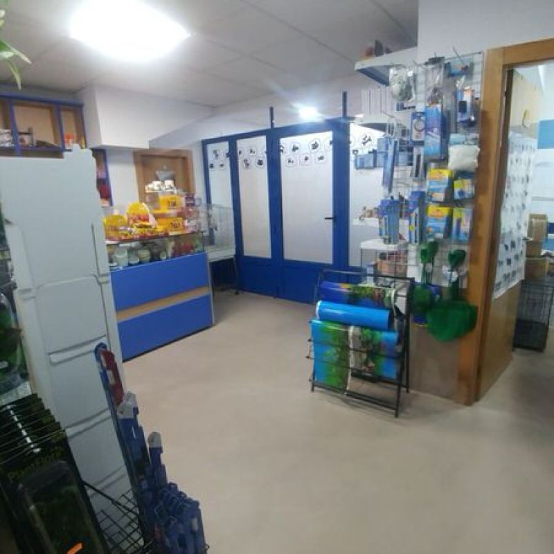 Suelo de local de microcemento de CementDecor